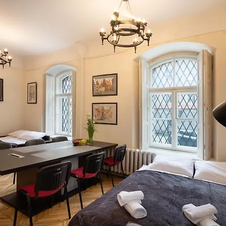Old Historical One Bedroom Apartment *