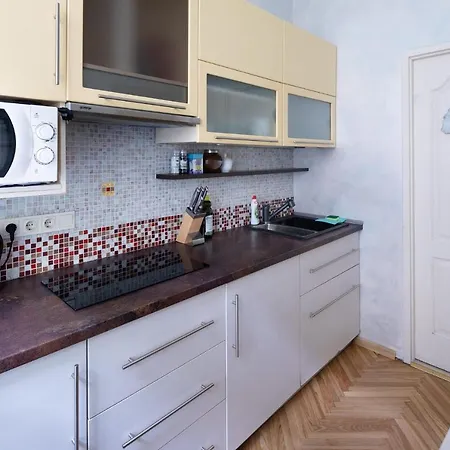 Apartment Old Historical One Bedroom Riga