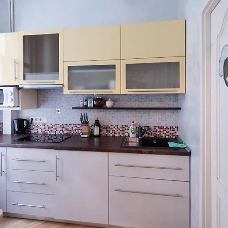 Old Historical One Bedroom Riga